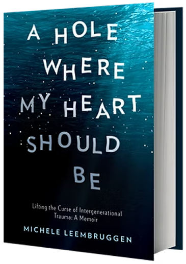A Hole Where My Heart Should Be — Book Cover