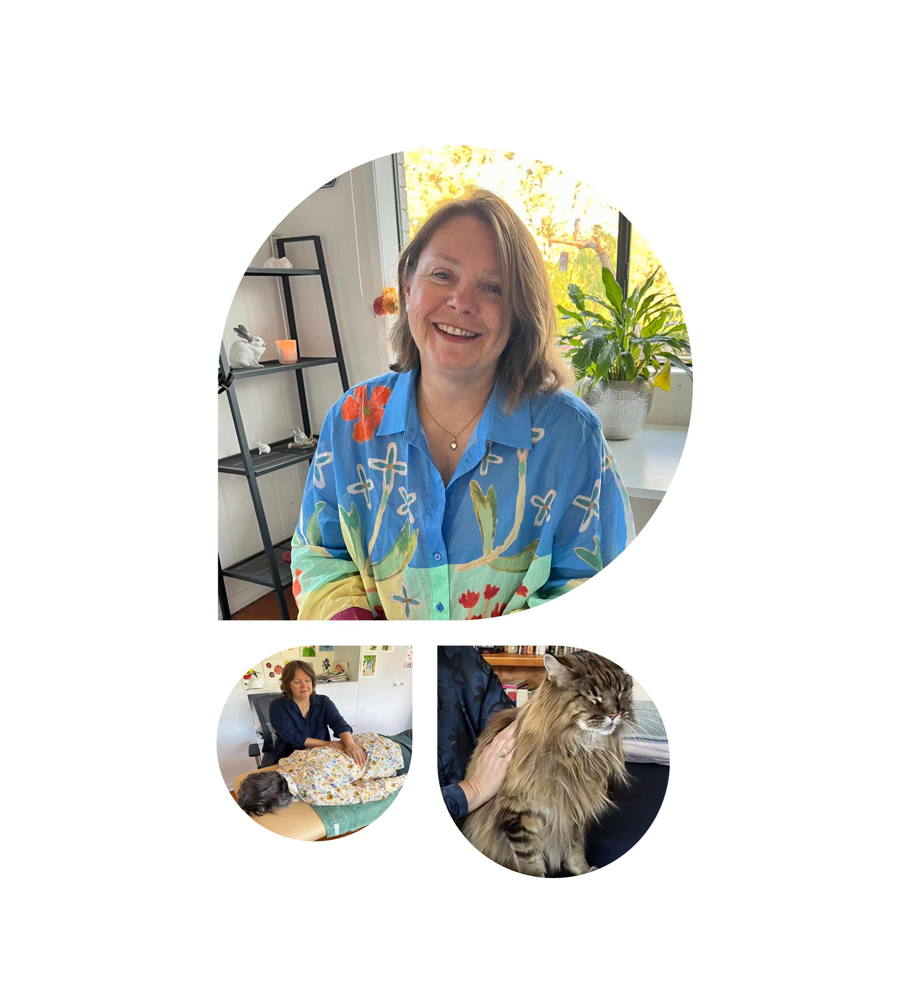 Reiki for people and animals